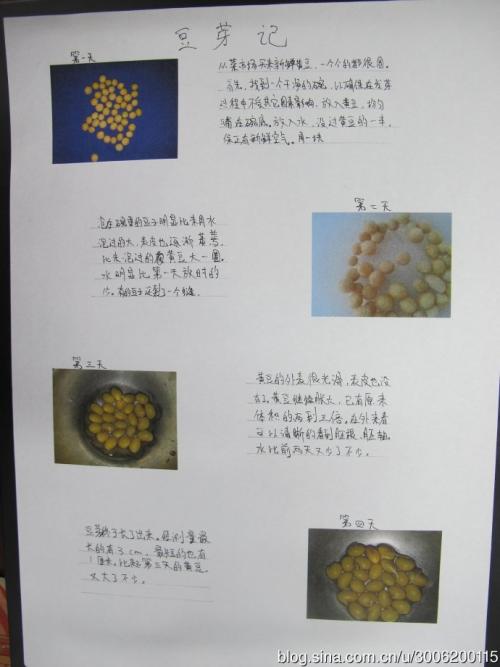 关于观察植物的日记