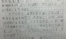 小乌龟的作文350字