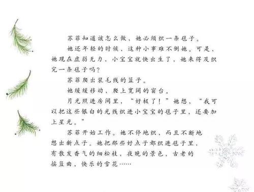 看完索菲的杰作