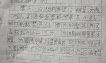 二年级作文美丽的春天