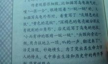 小制作作文350字