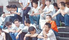 一个农村孩子的求学与找工作感悟