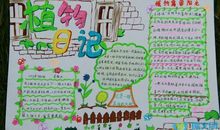 观察植物日记大全