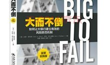 大而不倒读后感