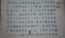 小动物作文100字