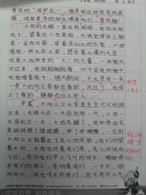 描述向日葵的成分