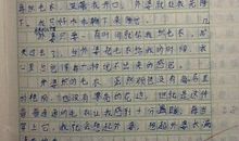 寻找作文600字记叙文