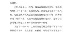 观察植物日记300字