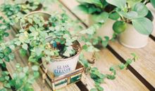 生命的空隙读后感