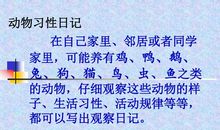 动植物观察日记400字