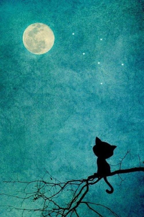 致母亲：如果我失去你，我将是一个失败者