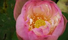 职场相处要有“边界感”