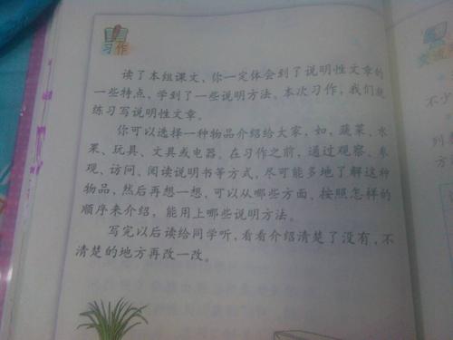 介绍250字的作文