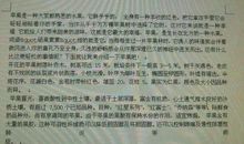 小学说明文作文