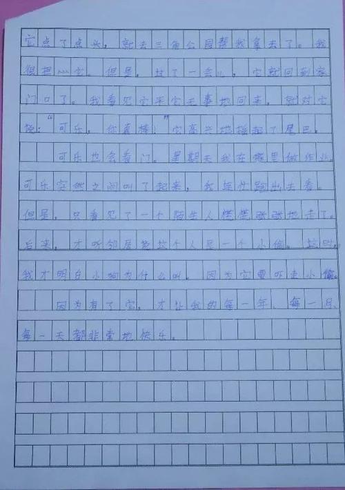 学校是我的家庭组成