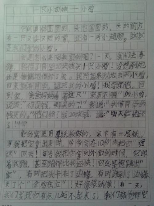 观察小动物的组成