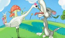 狼与鹭鸶读后感