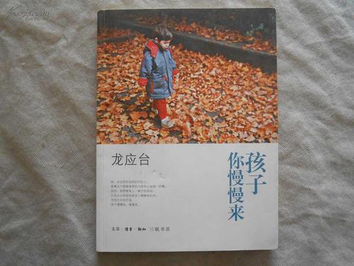 龙应台经典陈述