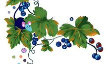 鹿和葡萄树读后感