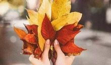 怎么和他人相处？