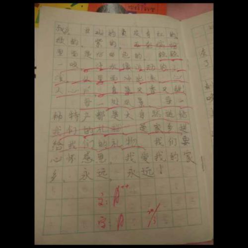 ai家乡小学组成