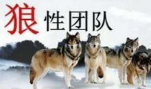 狼性团队读后感