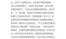 一次有趣的发现作文