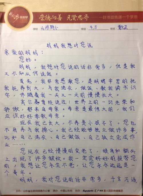 关心妈妈的成分