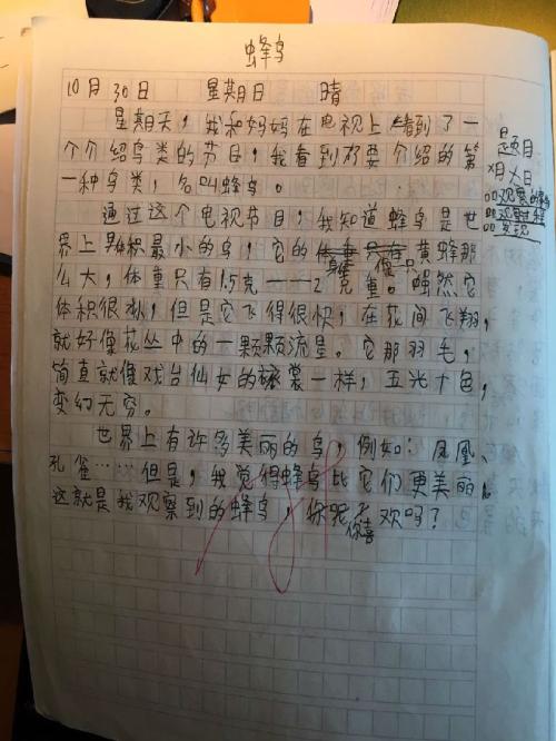 小学五年级观察日记