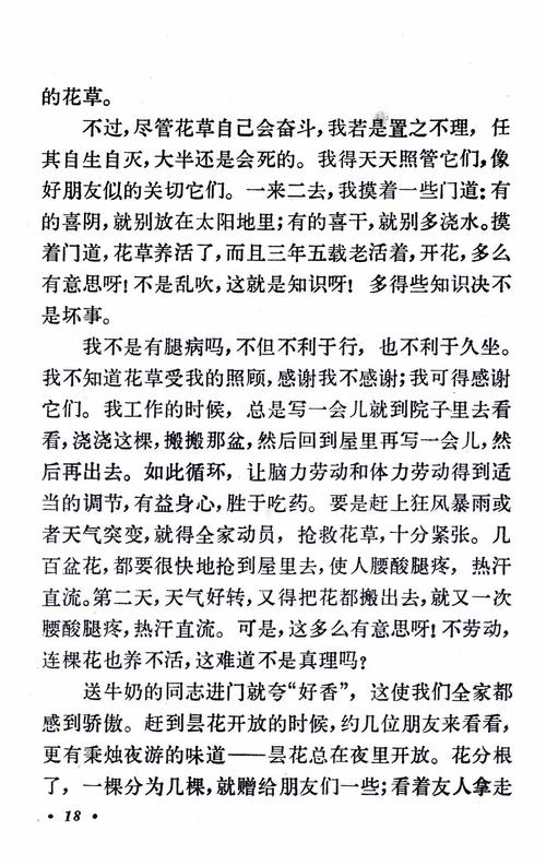 关于老舍散文的思考