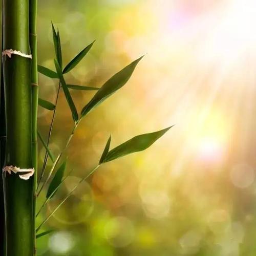 经典句子：语言较弱时，让沉默说话