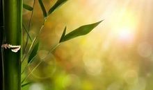 经典语句：语言无力时，让沉默发声