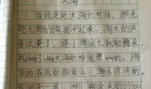 下雪了日记300字