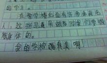 学校里的新鲜事作文