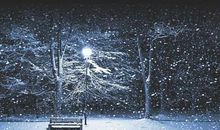 寒风吹彻读后感