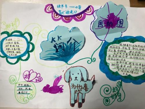 白天看完星星之后