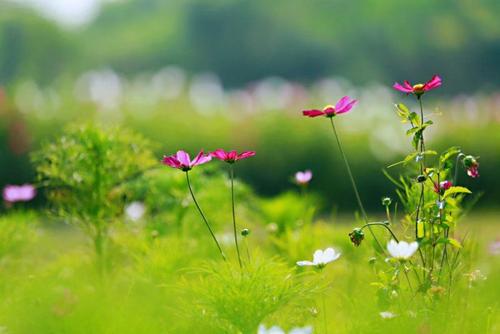 向孩子学习的感觉