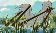 通过自身努力可改变7成的命运