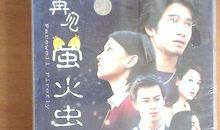 再见萤火虫读后感