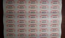 郦波经典语录语句