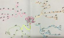 唤醒内在的智慧读后感