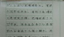 我的偶像作文400字