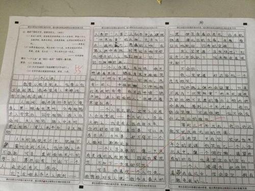 阳光明媚的组成