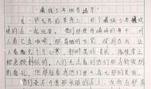 描写偶像的作文