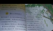 槐乡的孩子读后感