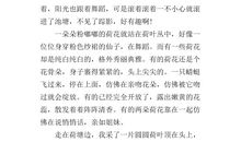 写荷花的作文200字