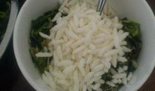 介绍蔬菜的作文500字