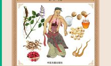 黄帝内经养生智慧读后感