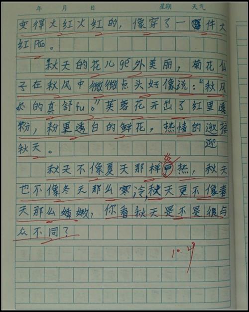 三年级新年日记