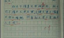 小学三年级过年日记